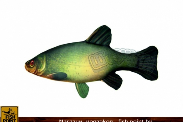 Подушка-антистресс Рыба "ЛИНЬ" мал.