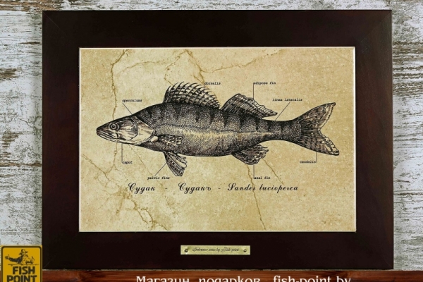 Картина "СУДАК" серия "Сабанеев"